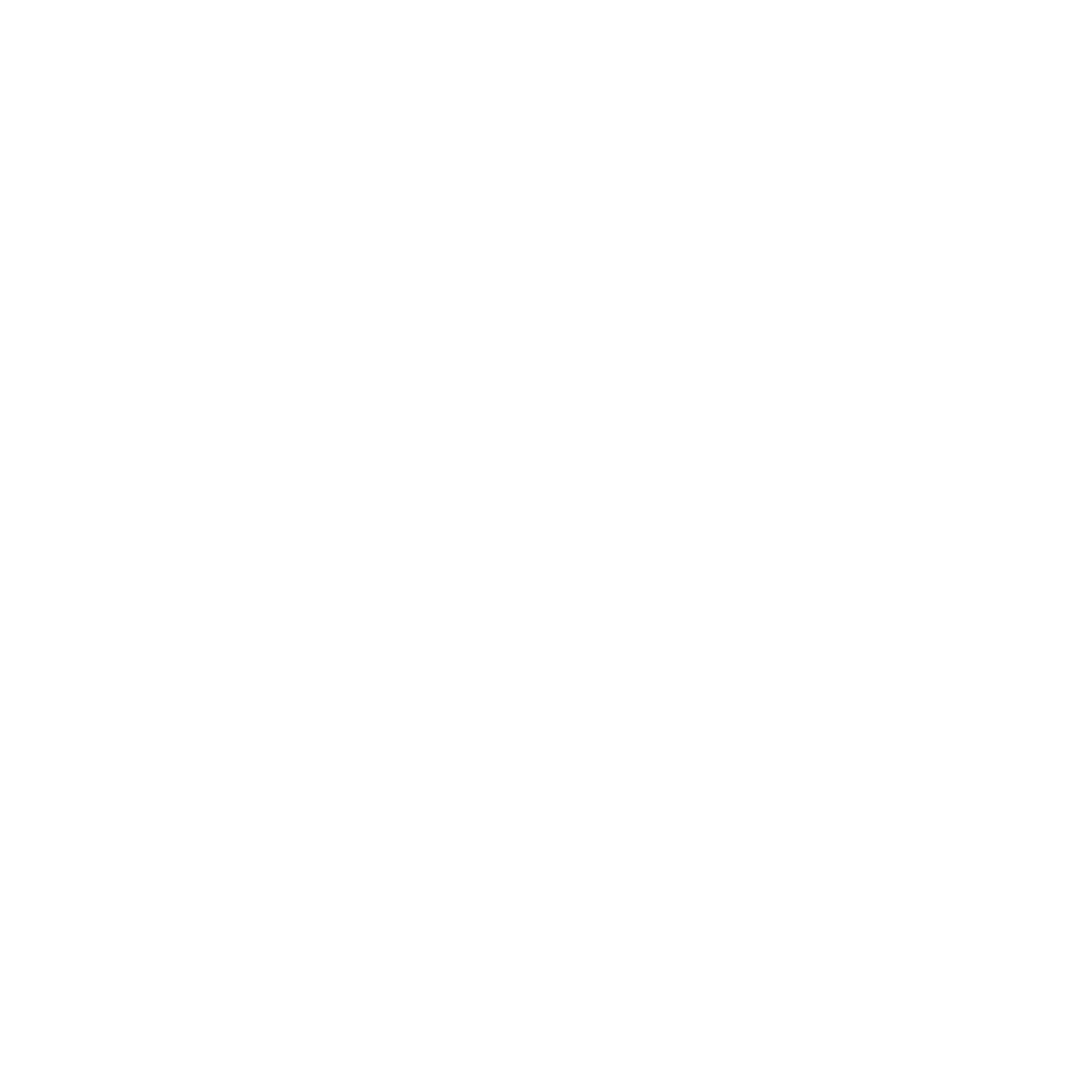 TourNeo logo